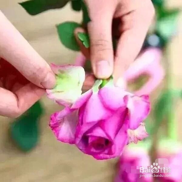 鲜花怎么养护会活得长一点