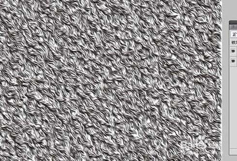 ps怎么设计毛发壁纸效果