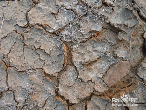 改良土壤的方法