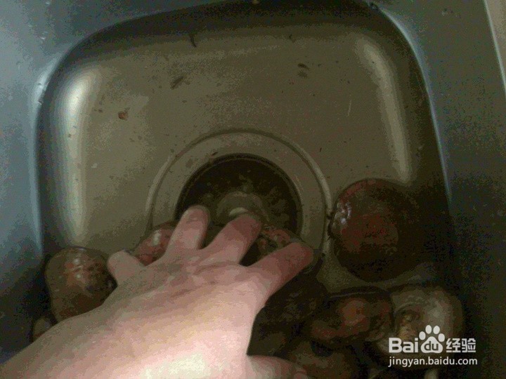 怎样省水清洗香菇