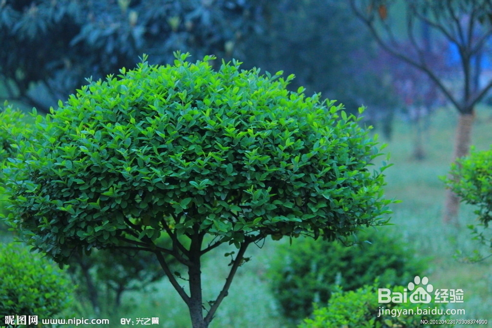 怎样保护和提升视力