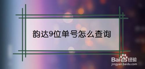 韵达9位单号怎么查询