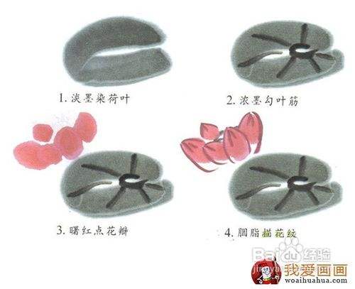 简单的国画花卉绘画教程 适合儿童或初学者 百度经验