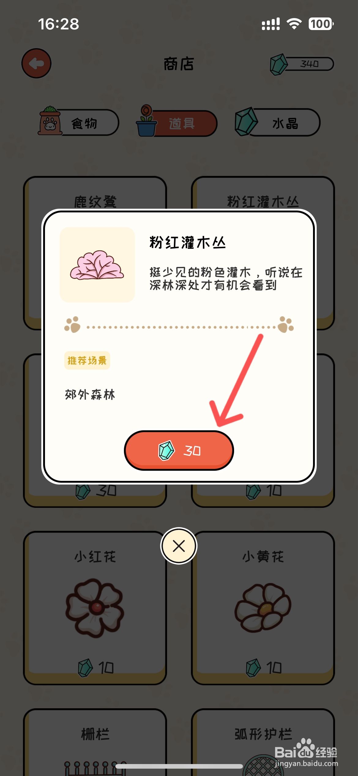 萌小喵日记怎么在商店买粉红灌木丛