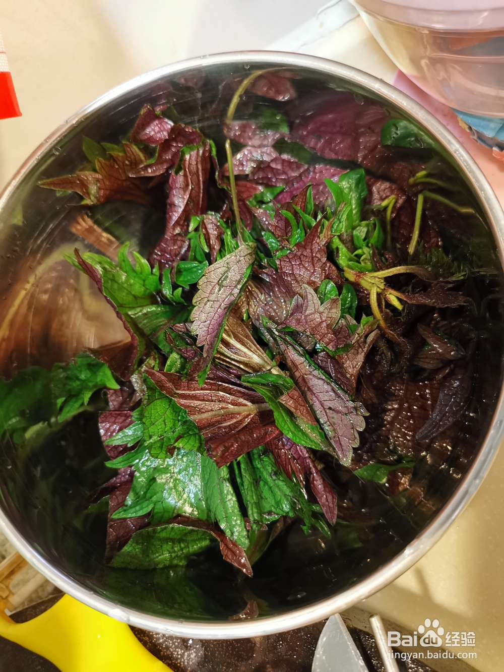 新手适合做的紫苏焖鸭