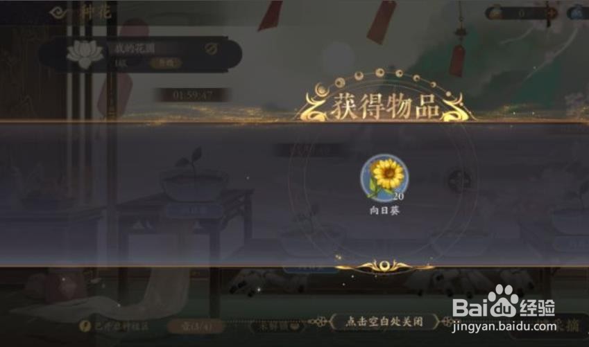 花亦山心之月怎么种花