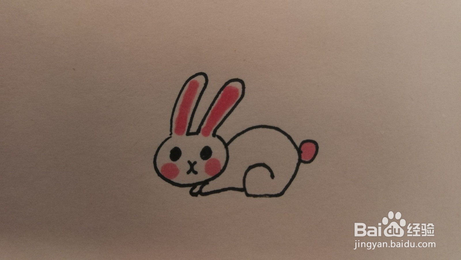 #经验分享官#小兔子简笔画