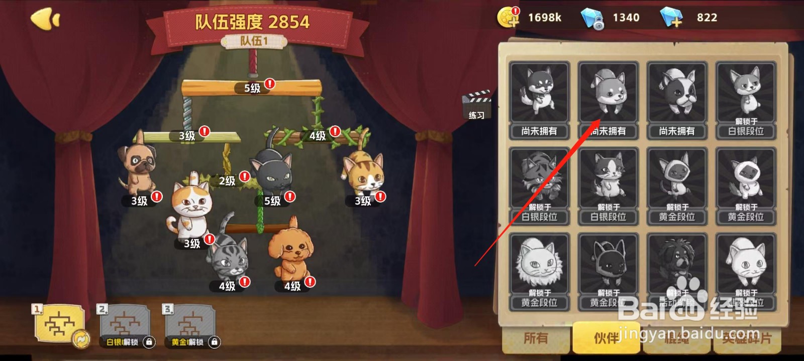 狗狗呼叫喵星怎样查看秋田犬的割绳