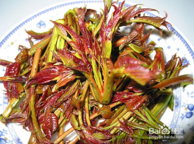 吃香椿有什么好处