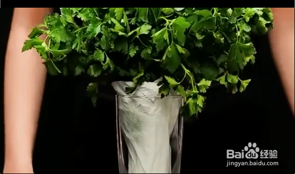 蔬菜保鲜的小妙招。