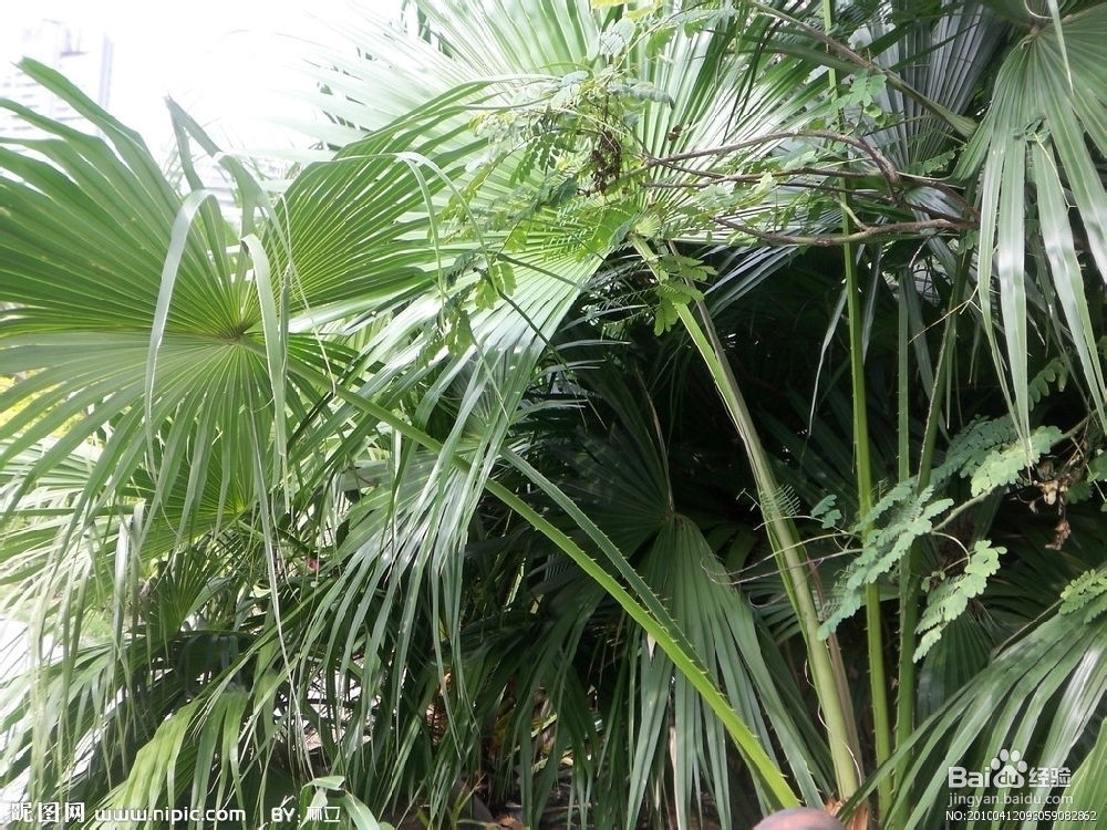 支气管炎的症状有哪几种类型?