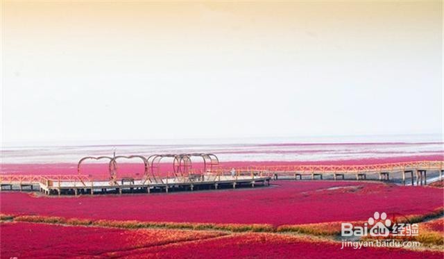 辽宁红海滩旅游好玩吗