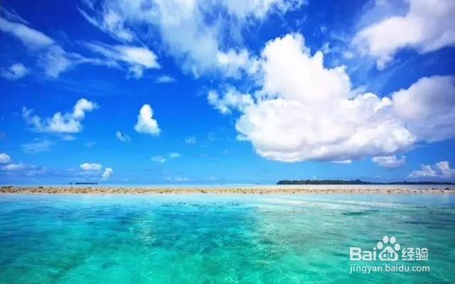 十一免签的高性价比海岛——帕劳旅游攻略