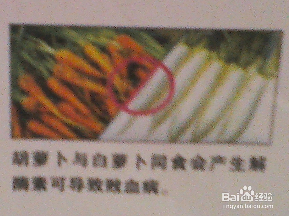 食物相克——合理饮食预防疾病：[4]