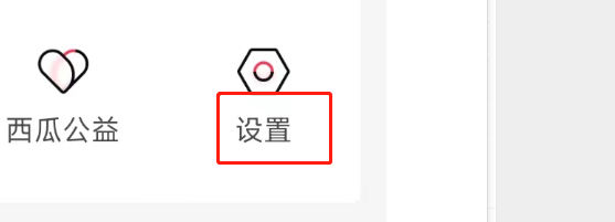 怎么查看西瓜视频的个人信息收集清单