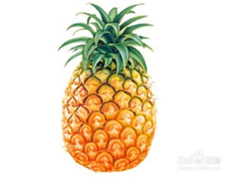 便秘吃什么水果比较好