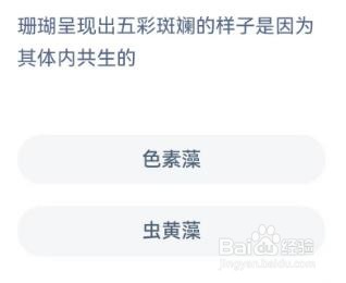 神奇海洋珊瑚呈现出五彩斑斓的样子是因为其体内