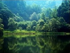 怎样做营销：[3]战略的选择