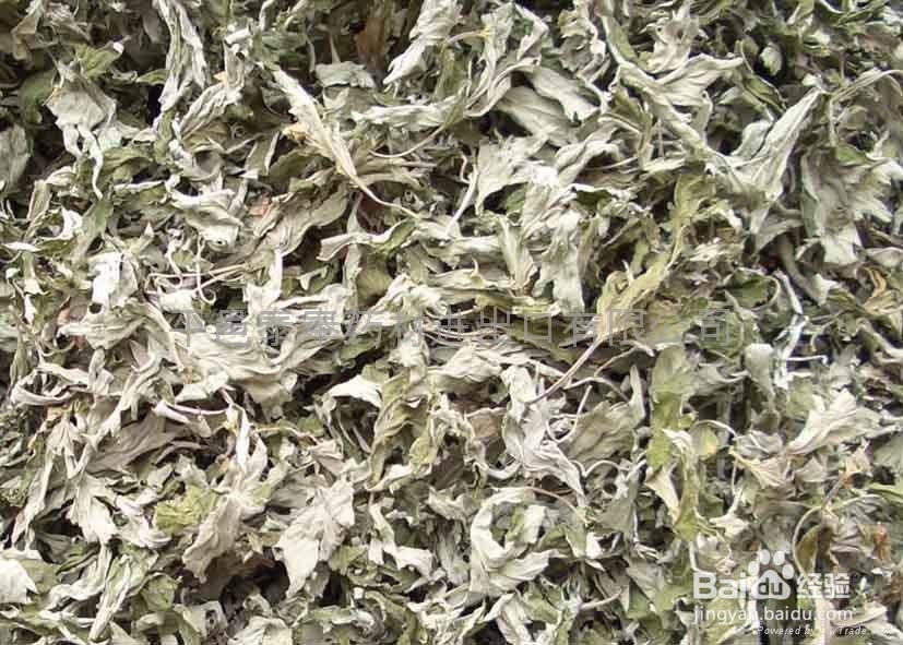 怎么应对生理期疼痛