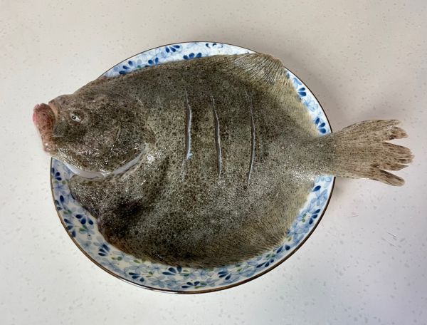 清蒸葱油多宝鱼