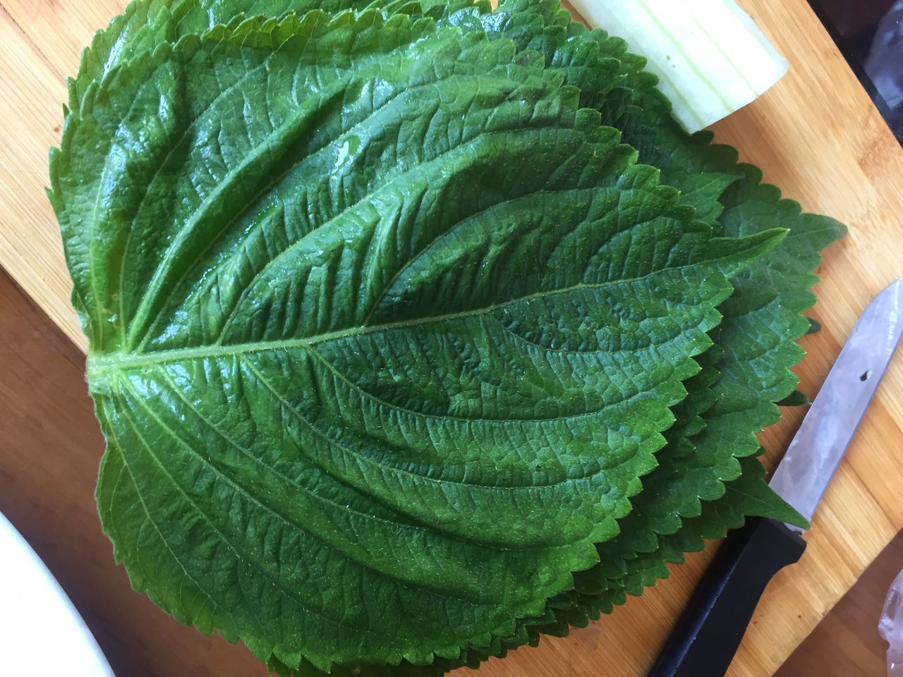 教你做苏子叶饭团,让你越吃越想吃,根本停不下来