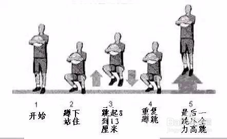 篮球弹跳力增长训练