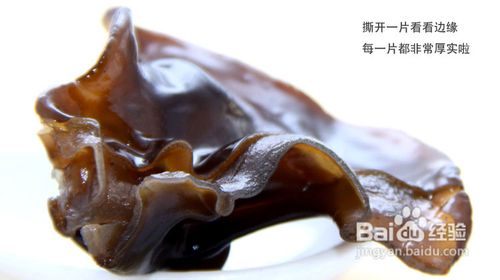 教您识别东北黑木耳