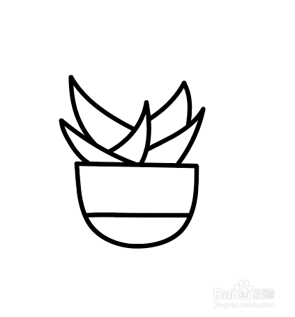 如何画出简笔画多肉