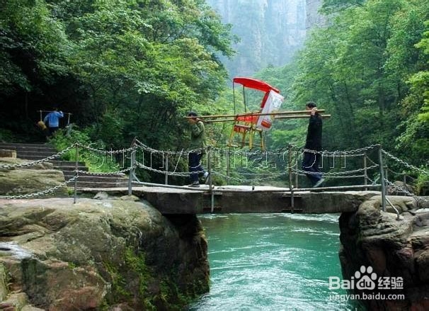 长春到张家界旅游