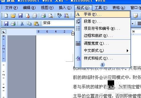 word中有的数字或者文字右上角有小1/2