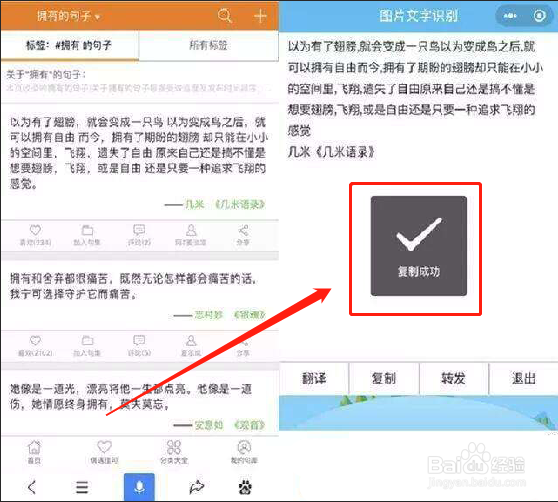 解决网页文字等内容无法复制的六个大招（三）