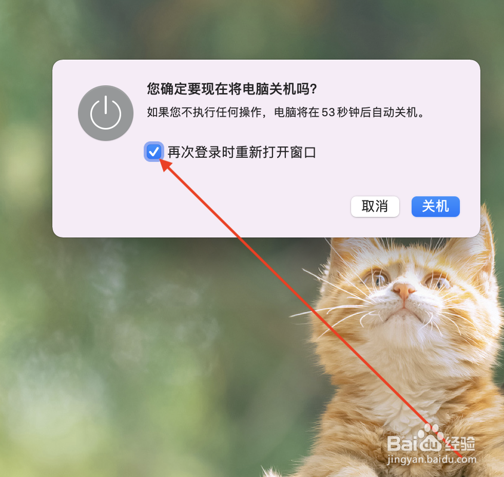 苹果电脑怎么关闭开机自动启动项