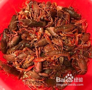 怎么做清蒸小龙虾