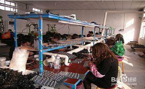 女性24小时轮班工作对身体有哪些危害和职业病