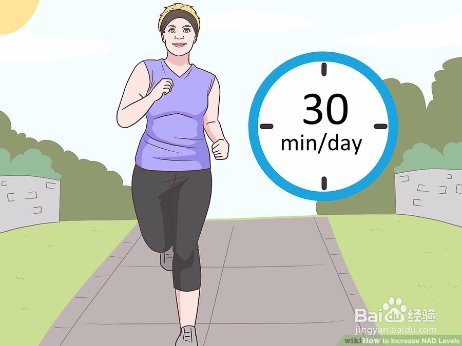 如何提高NAD水平