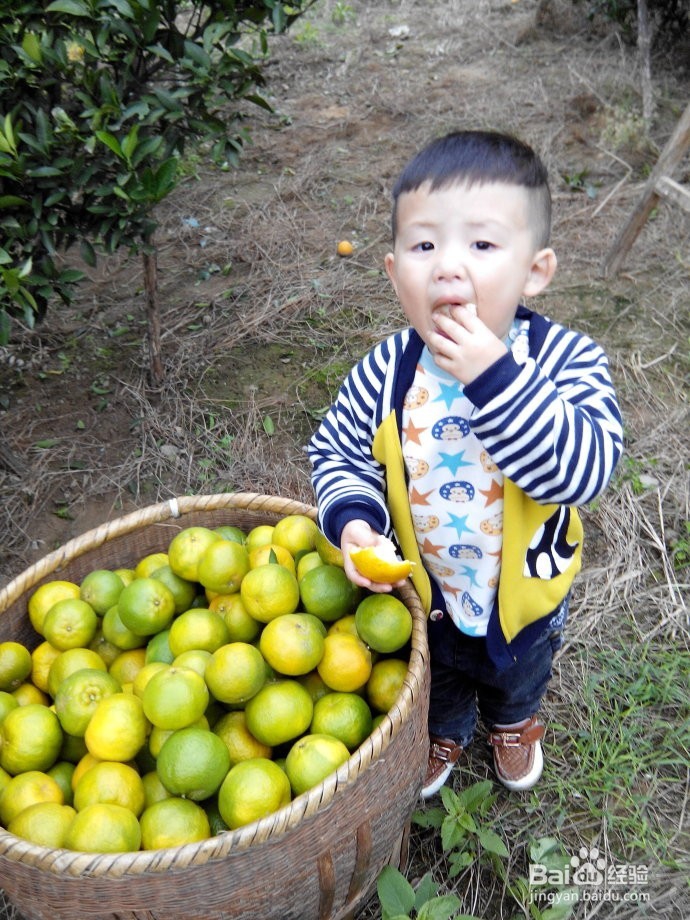 国庆过后，到长沙乡村怎样找农村人的乐子！！！