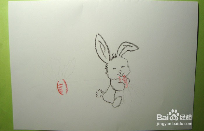 儿童蜡笔画之吃萝卜的大白兔