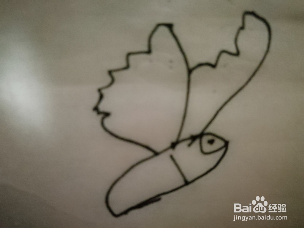 怎么样用简笔画画小的蝴蝶