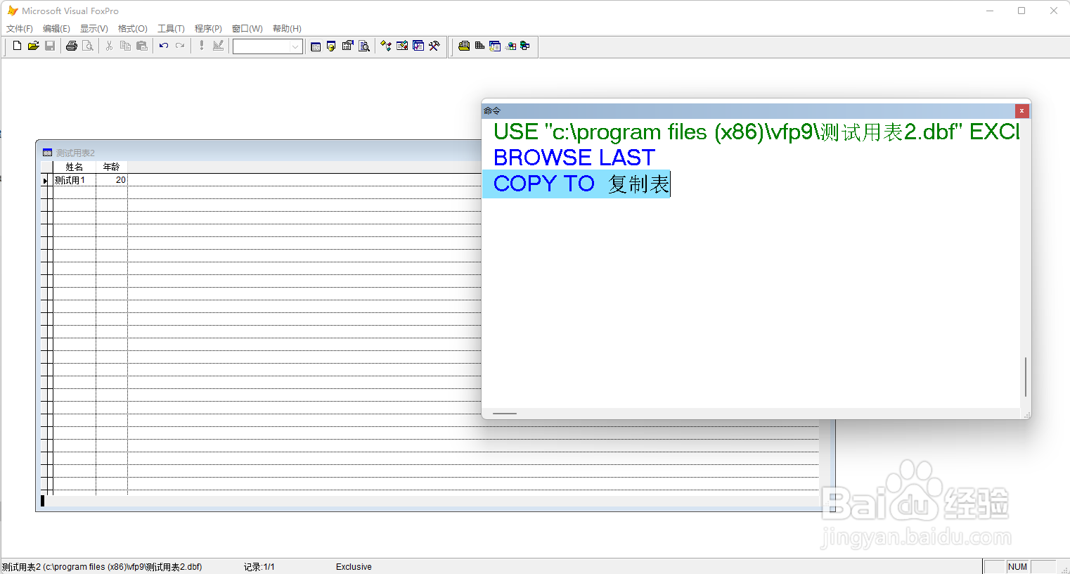 VF9.0复制表命令