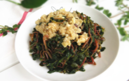 如何做出好吃的凉拌马齿苋