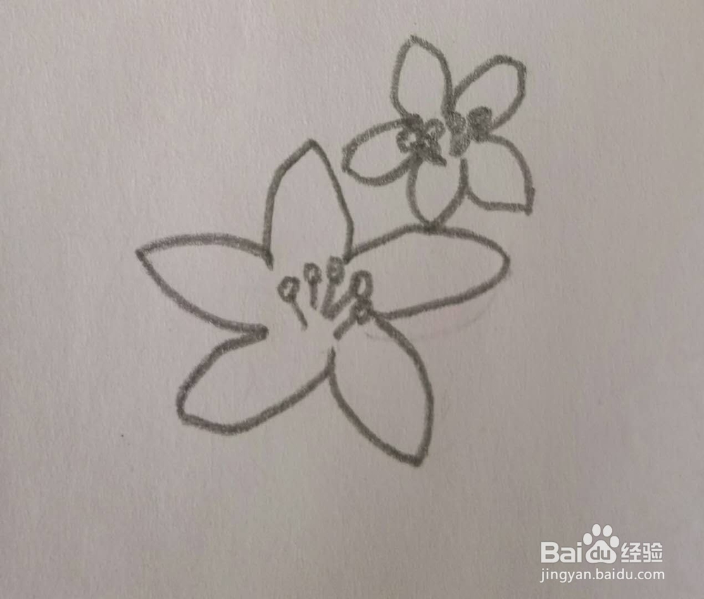 儿童简笔画花画法3