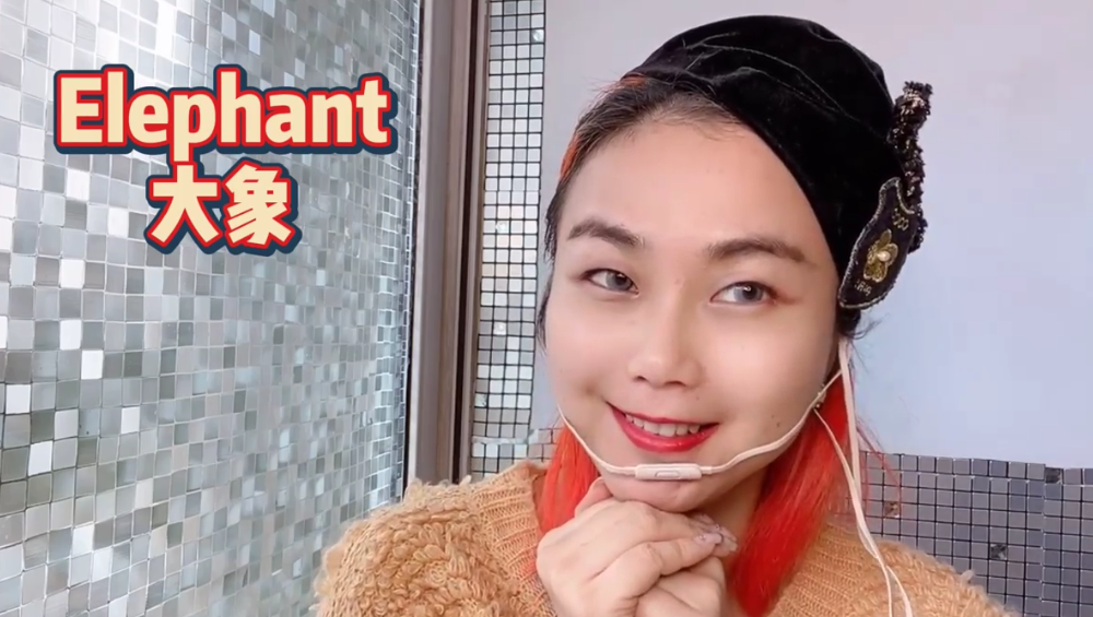各种动物的英文是什么