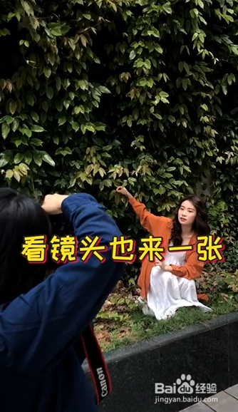 爬山虎如何拍出复古大片