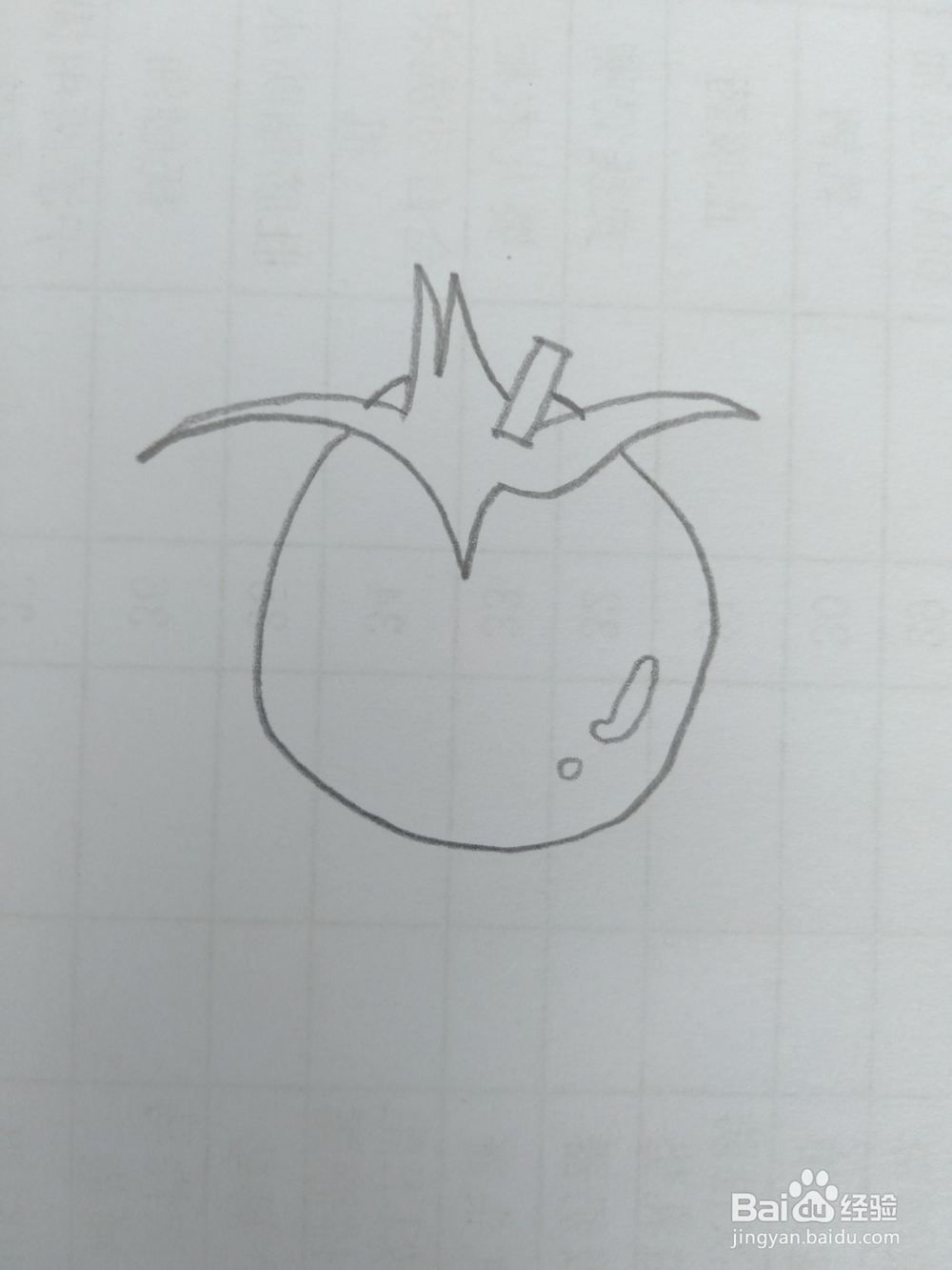 简笔画柿子画法八