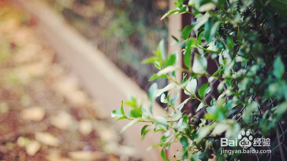 12星座如何应对七年之痒？有你要的答案