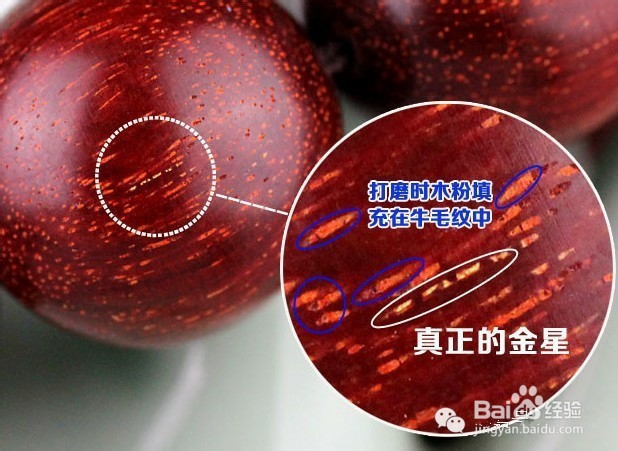 如何辨认小叶紫檀真伪