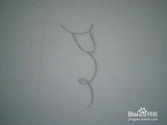 简笔画喇叭花：