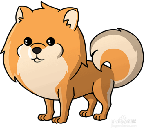 如何画可爱的博美