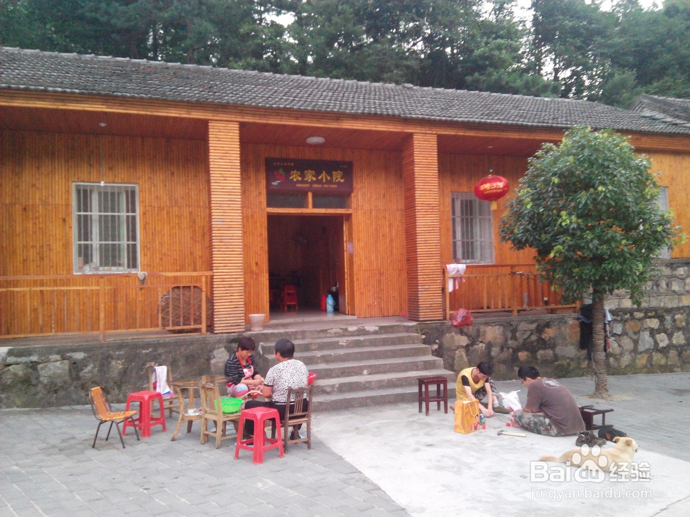 【金寨县马鬃岭实习攻略】