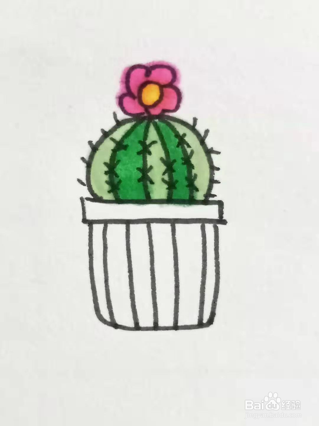 怎样画仙人球